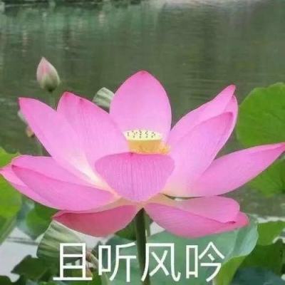 共探川剧传承与发展经典川剧《情探》分享座谈会举行
